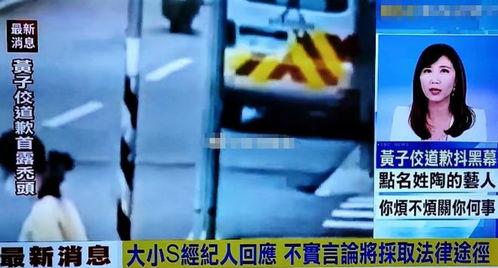 台湾爆料狗仔视频,独家爆料幕后真相  第2张